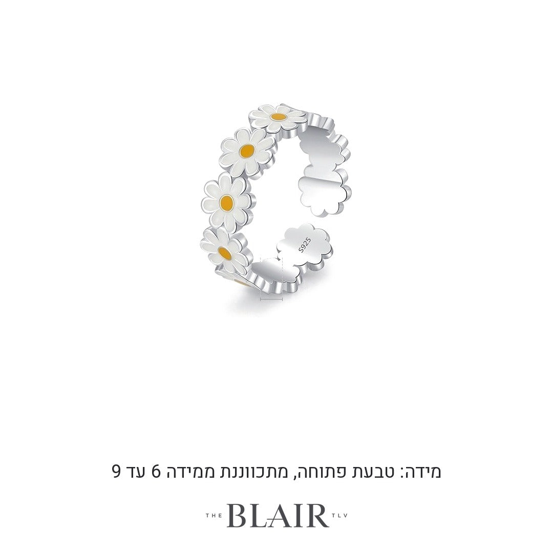 מידות טבעת פרח לבן שקמה