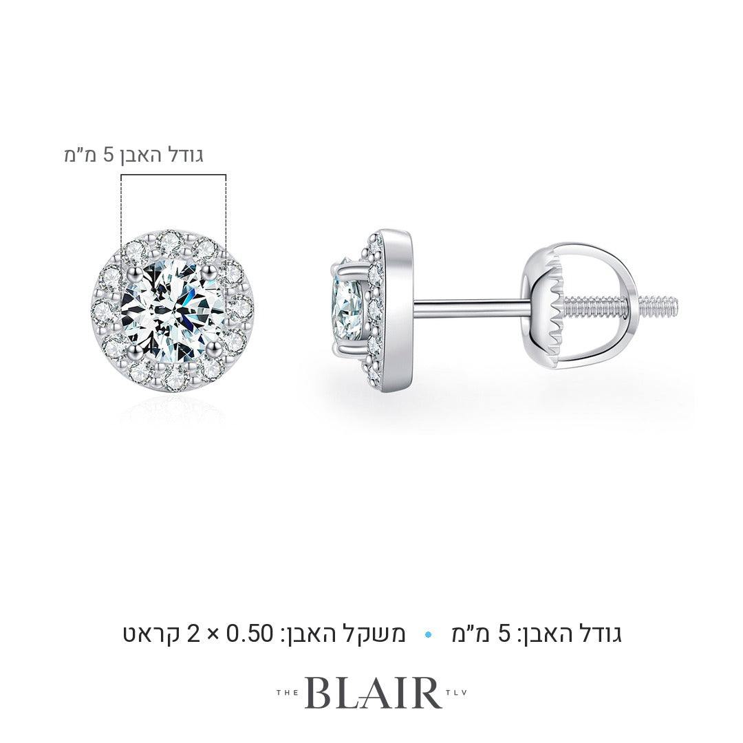 מידות עגילי אגם