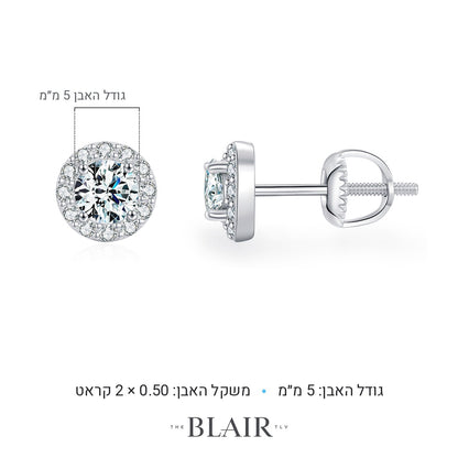 מידות עגילי אגם