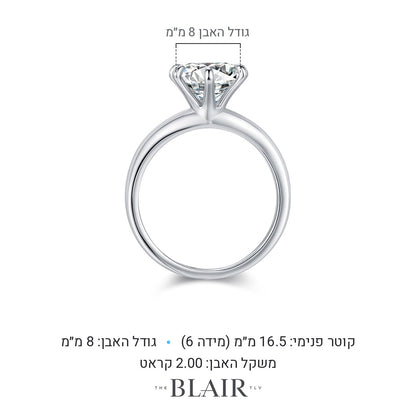 מידות טבעת ליטל