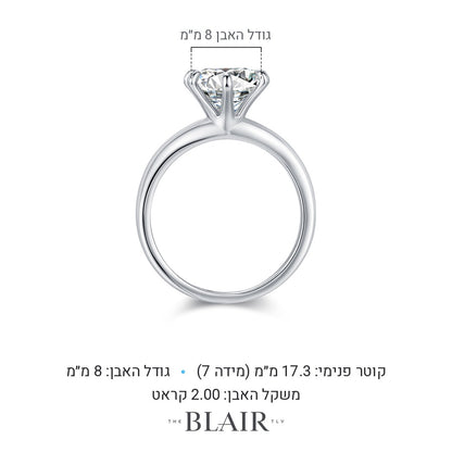 מידות טבעת ליטל