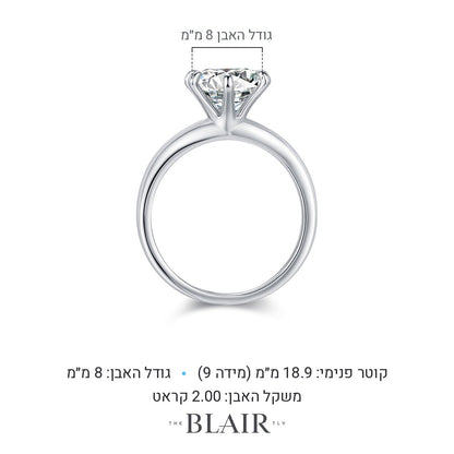 מידות טבעת ליטל