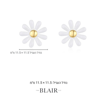 מידות עגילי פרח מלכה