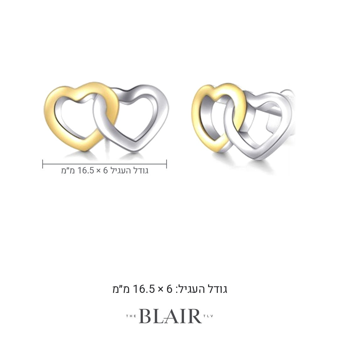 מידות עגילי לבבות אושרית