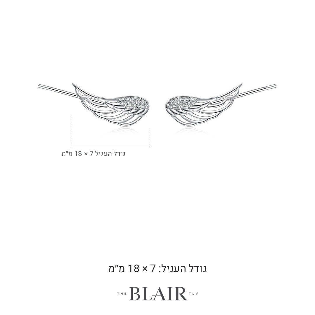 מידות עגילי כנף שיר