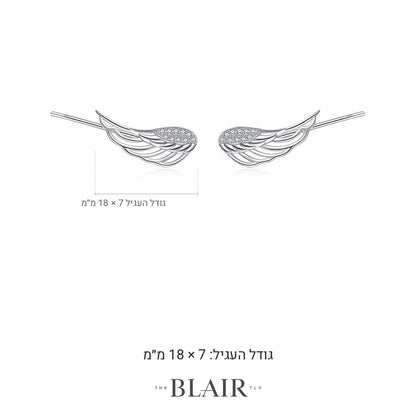 מידות עגילי כנף שיר