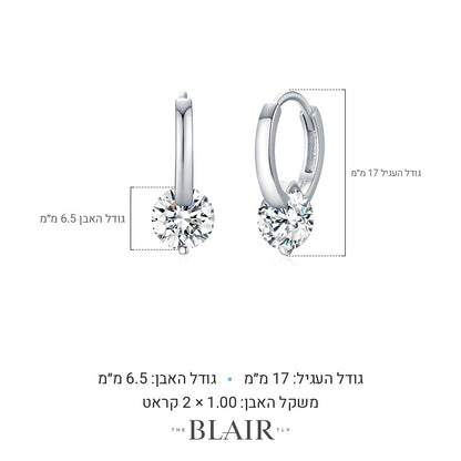 מידות עגילי יולי